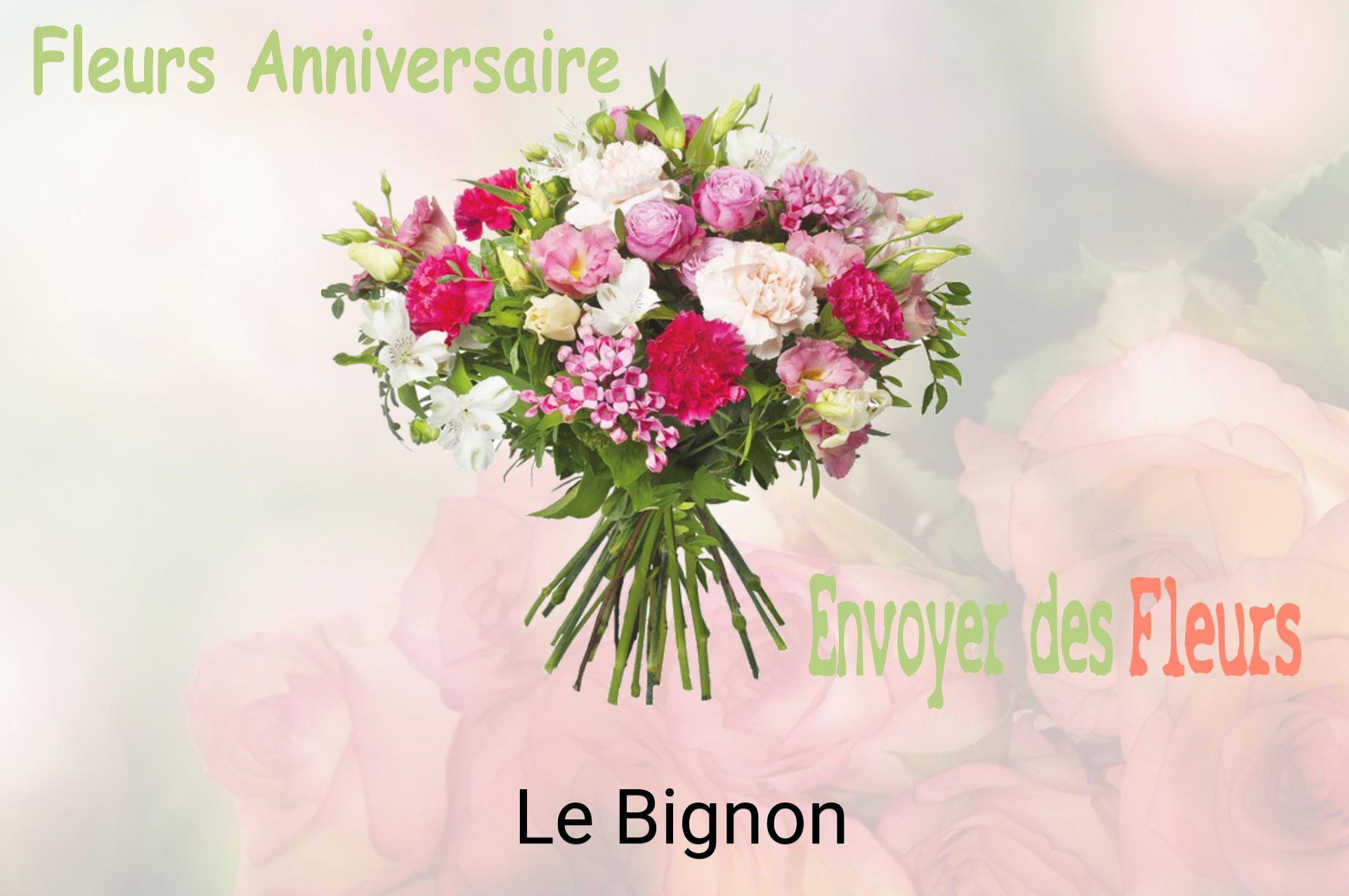 Bouquet de fleurs d’anniversaire livré à Le Bignon
