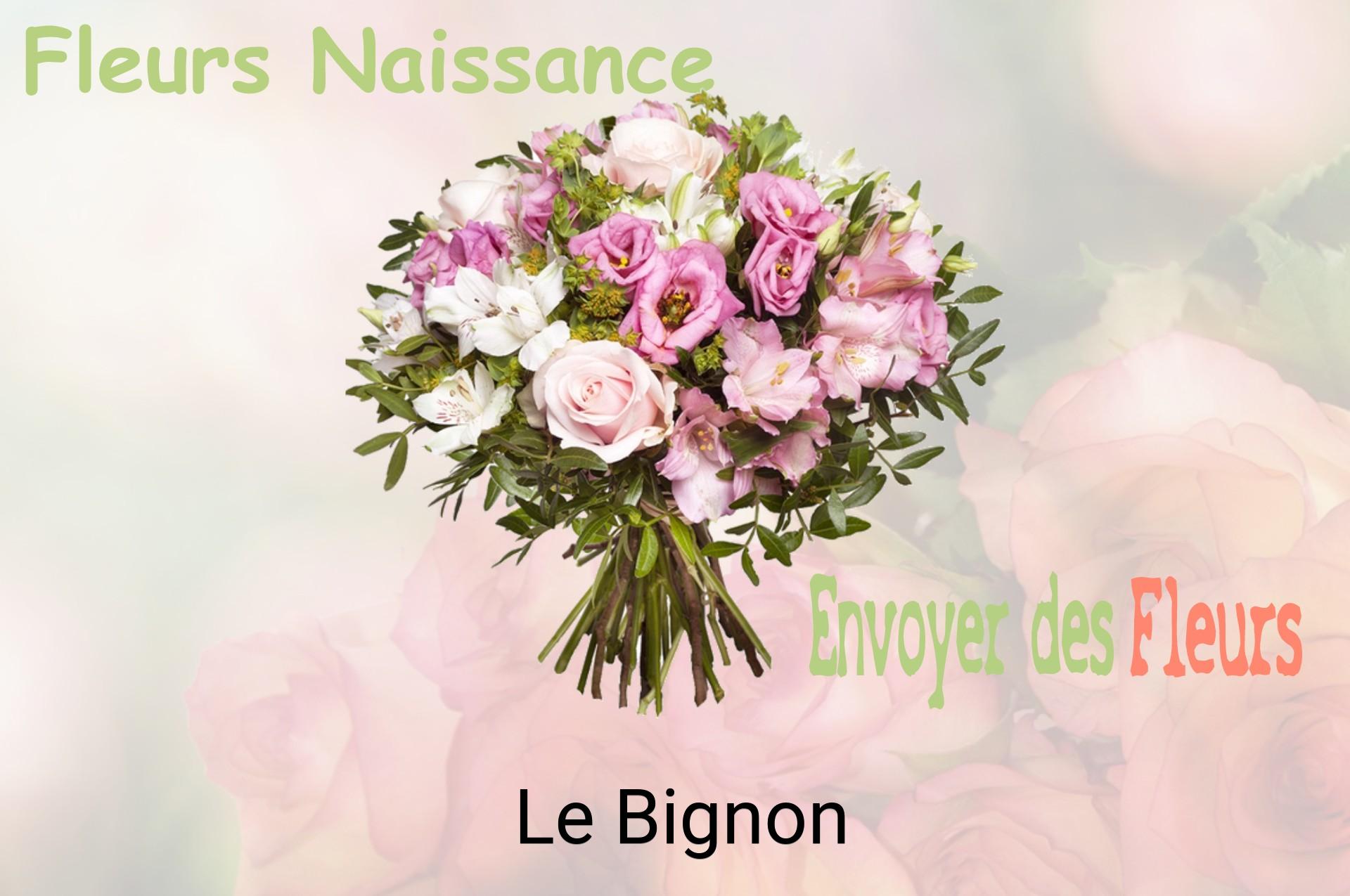 Bouquet de fleurs de naissance livré à Le Bignon