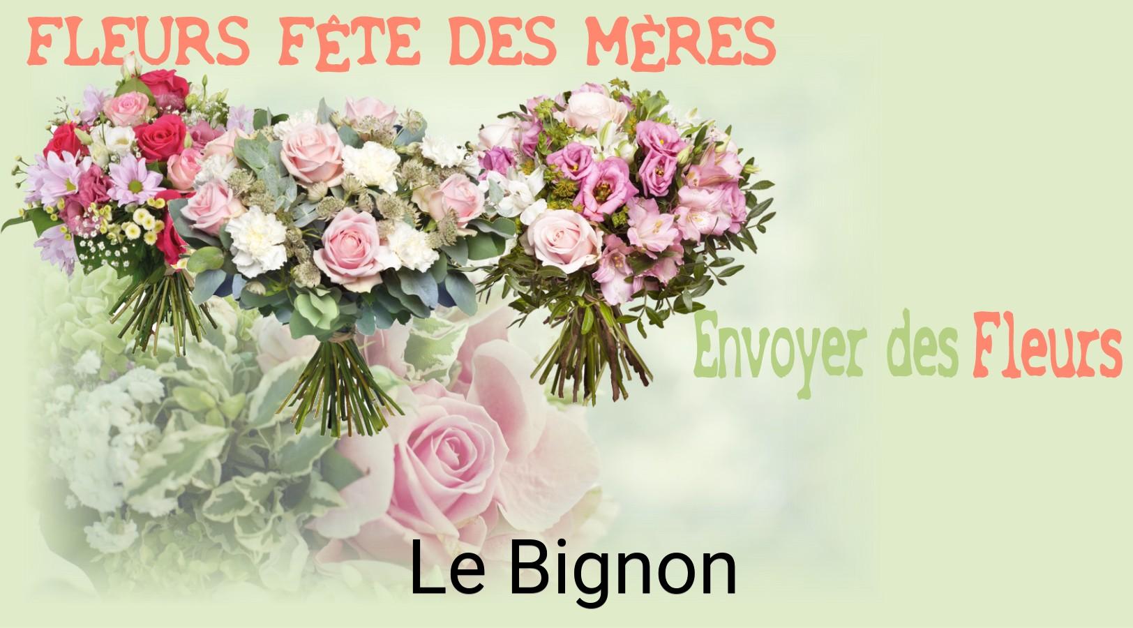 Bouquet de Fête des Mères livré à Le Bignon